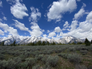 Grand Tetons 1