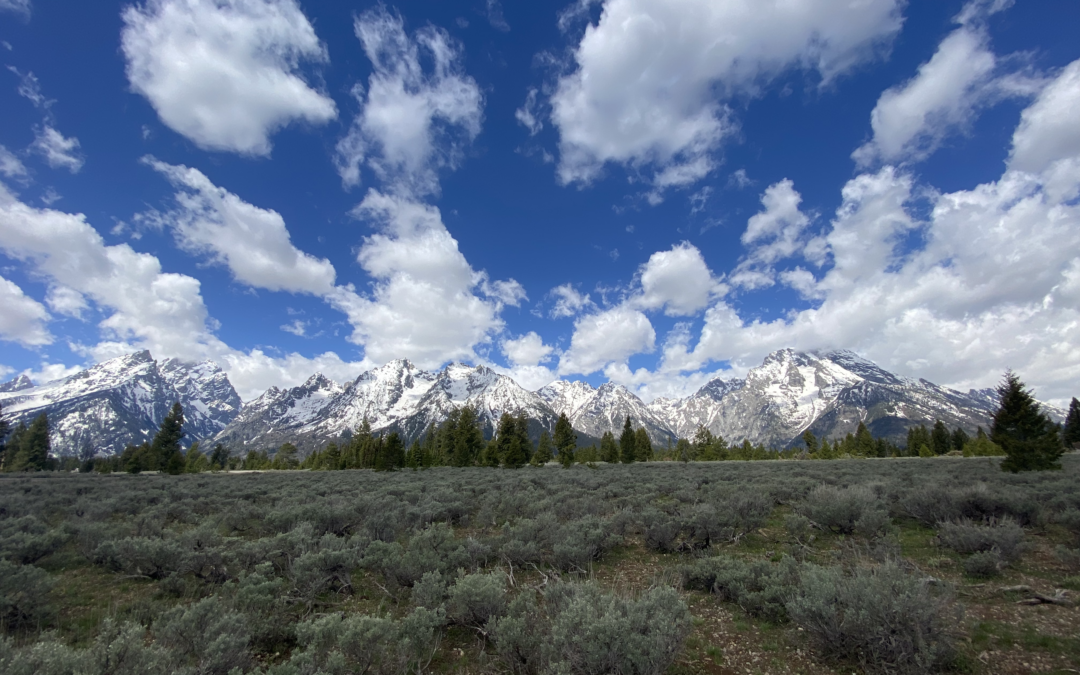 Grand Tetons 1